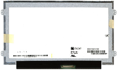 BA101WS1-100 Экран для ноутбука